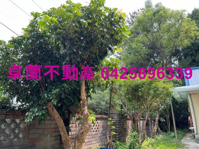 苗栗卓蘭農地-14