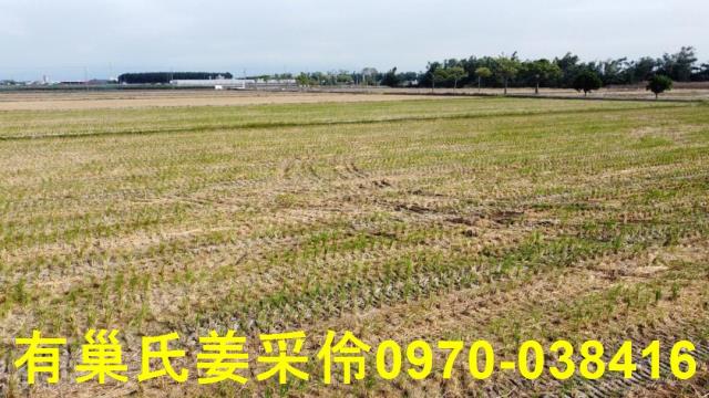 嘉義大林農地-6