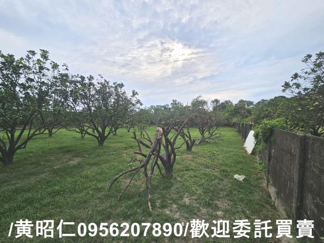 台南麻豆農地-4