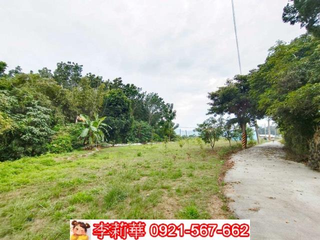 台南楠西農地-2