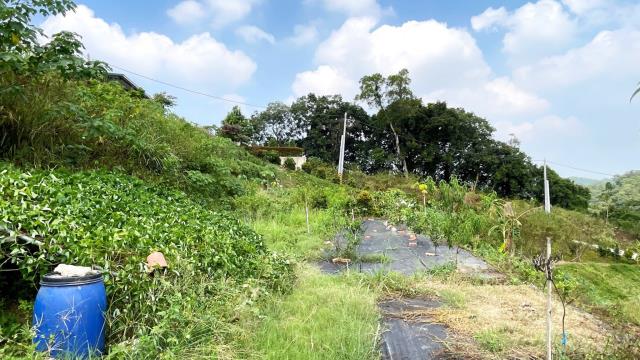 新竹寶山農地-6