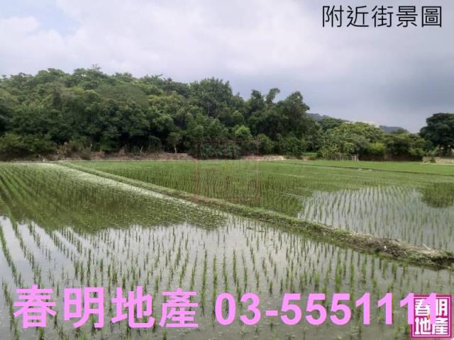 新竹竹北農地-5