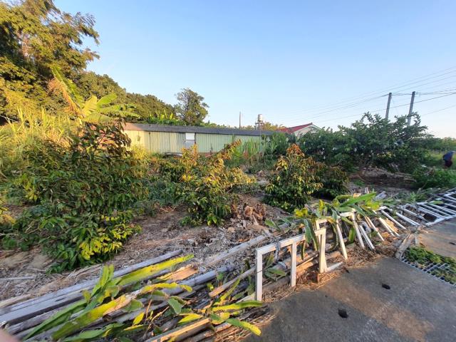 台南佳里農地-2