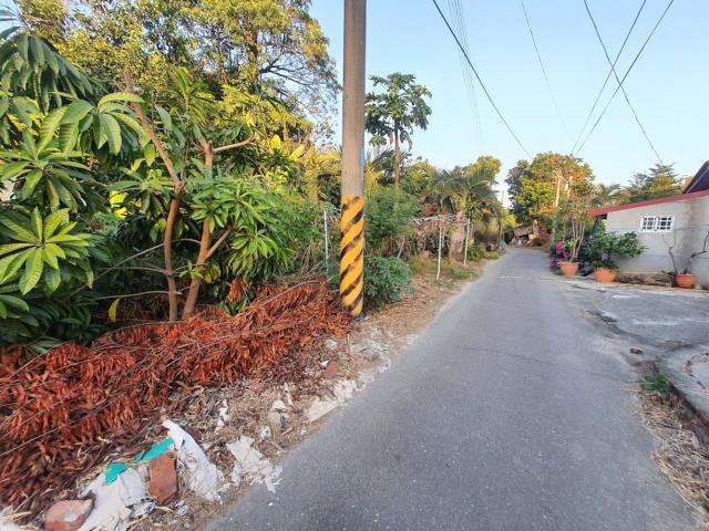 台南佳里農地-9