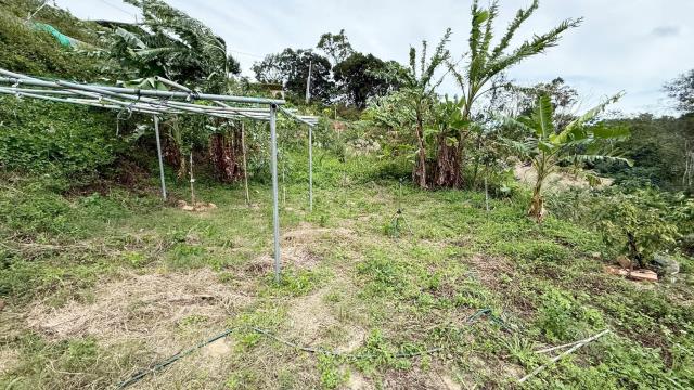 新竹寶山農地-12