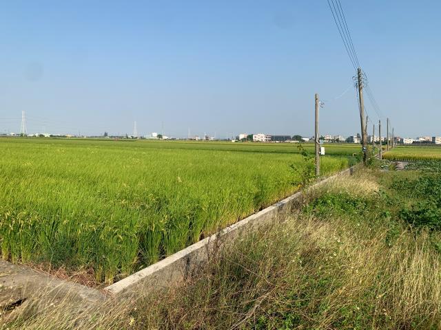 嘉義農地-5