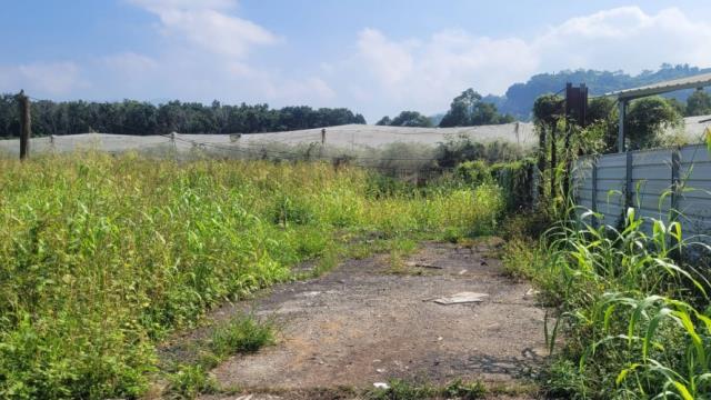 台南玉井農地-8