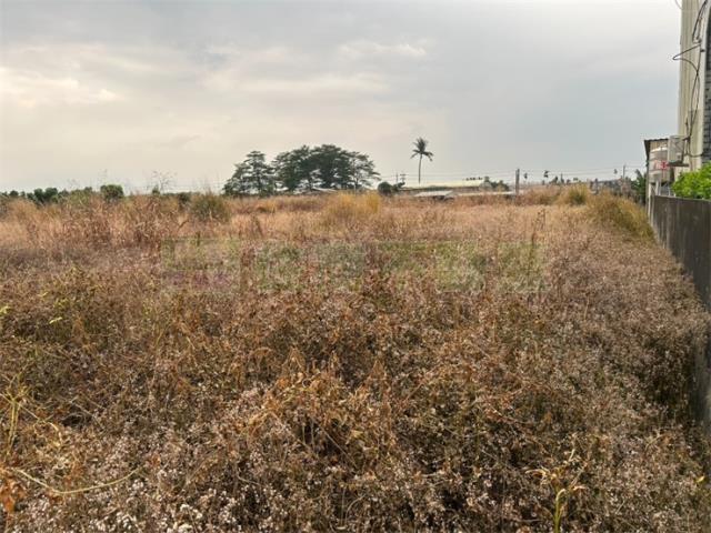 屏東里港農地-7