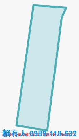 台南仁德農地-11