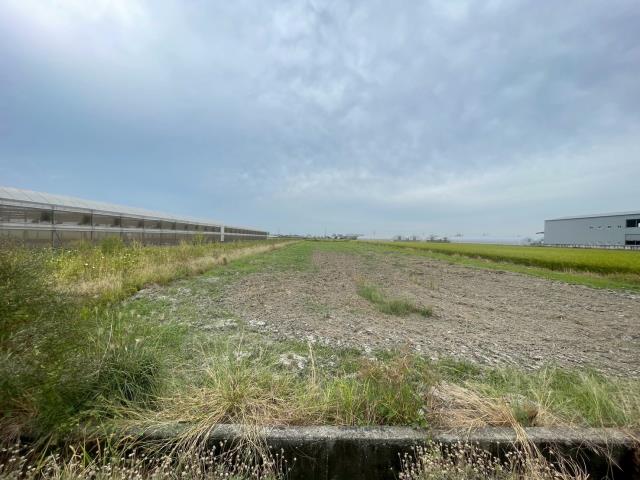 嘉義太保農地-2