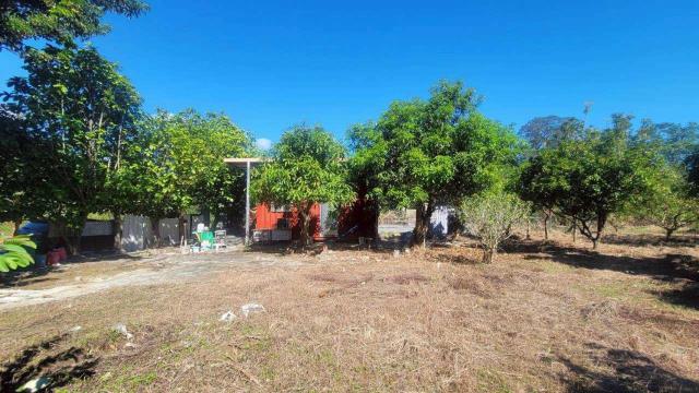 新竹橫山農地-9