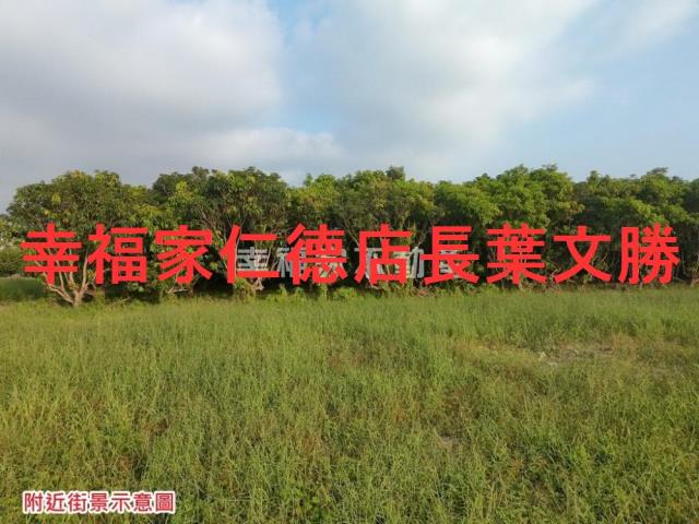 台南歸仁農地-10