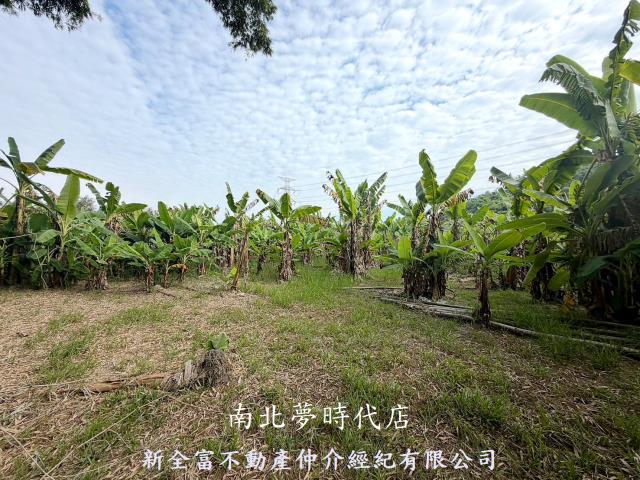 台南左鎮農地-5