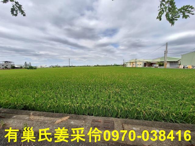 嘉義西區農地-13