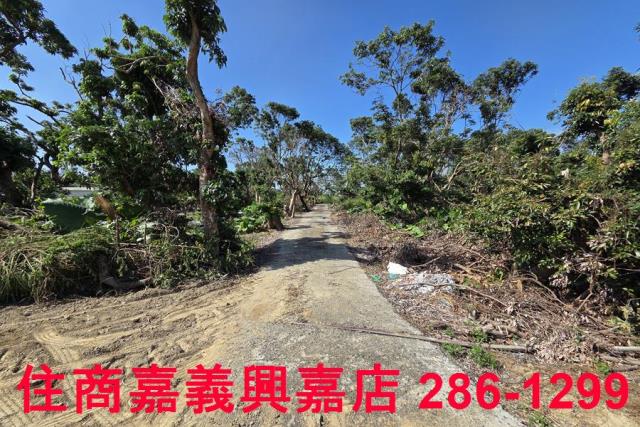 嘉義水上農地-4