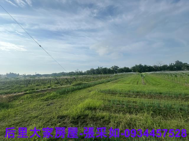 台中后里農地-1