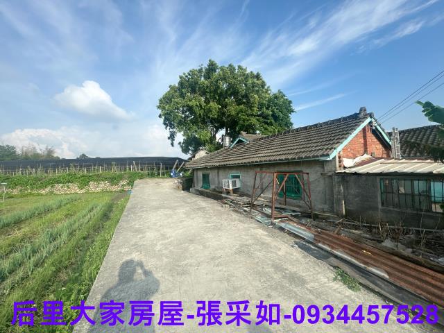 台中后里農地-4