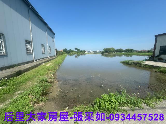 台中后里農地-5