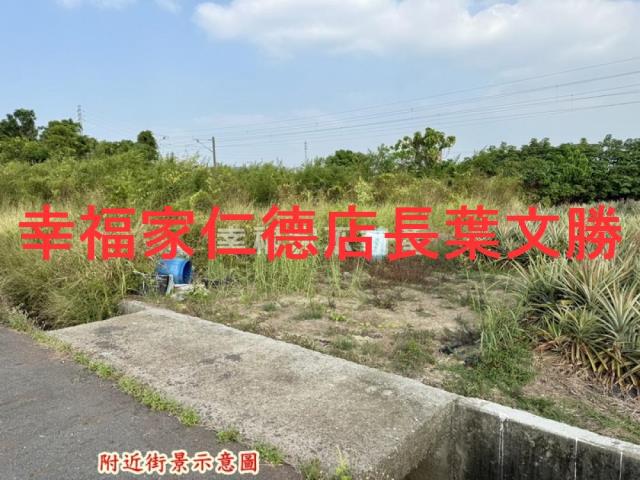 台南新市農地-14