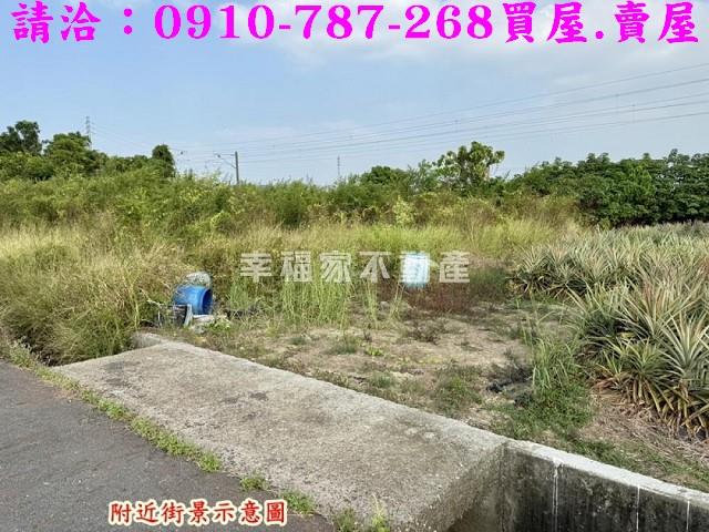 台南新市農地-10