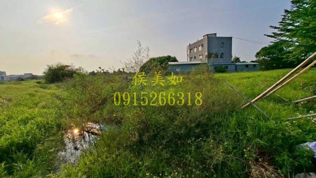 嘉義民雄農地-2