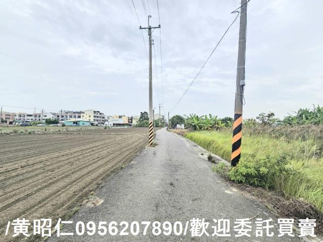 安南農地-6