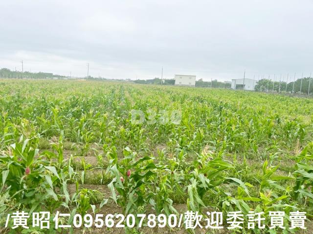 台南農地-9
