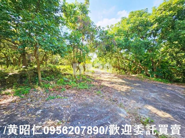 台南農地-4