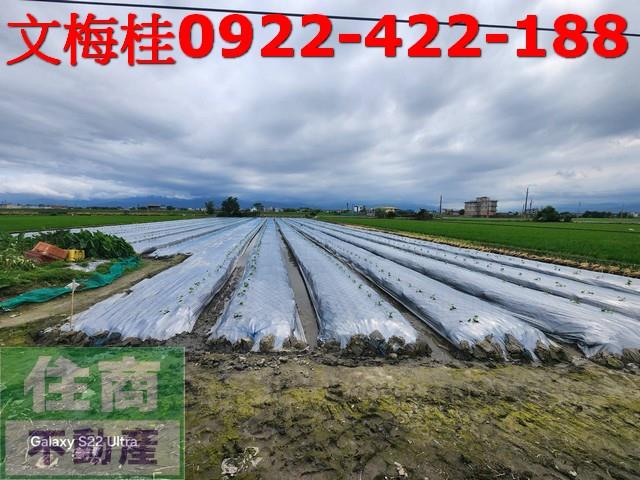 宜蘭壯圍農地-1