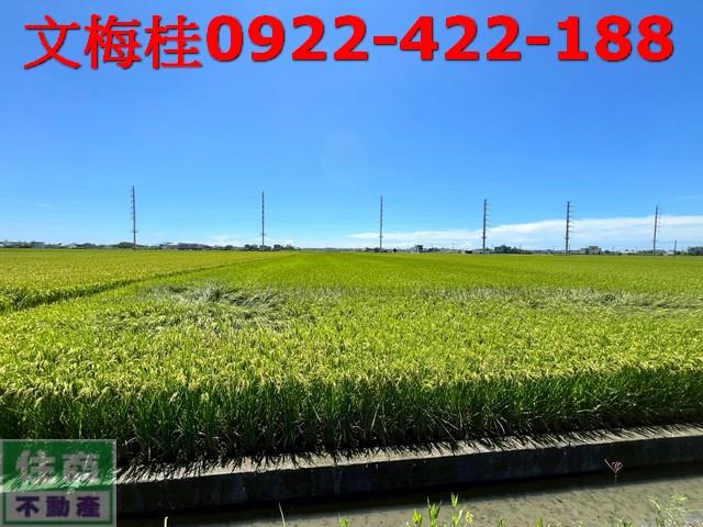 宜蘭壯圍農地-4