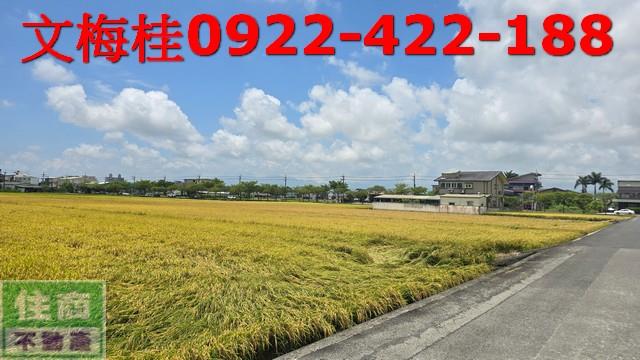 宜蘭宜蘭市農地-4