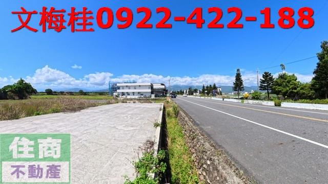 宜蘭宜蘭市農地-2