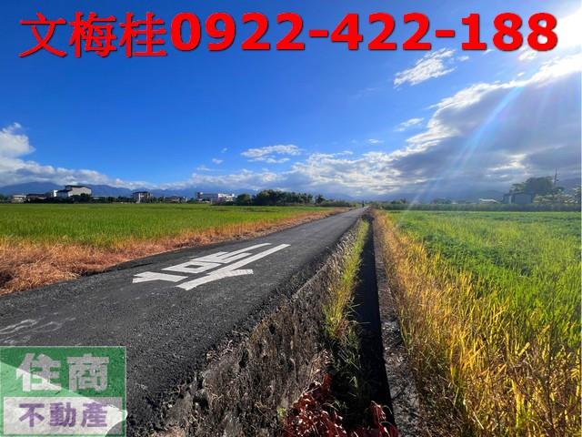 宜蘭宜蘭市農地-5