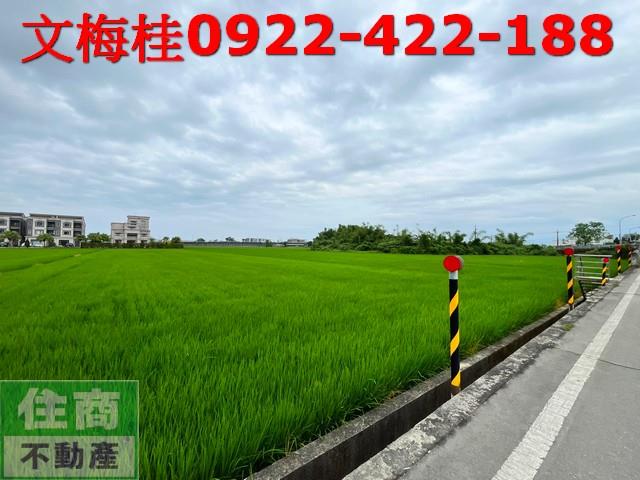 宜蘭宜蘭市農地-1