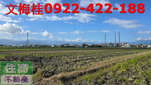 宜蘭宜蘭市農地-4