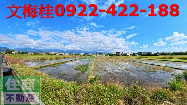 宜蘭宜蘭市農地-3