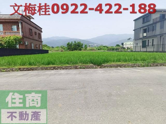 宜蘭宜蘭市農地-5