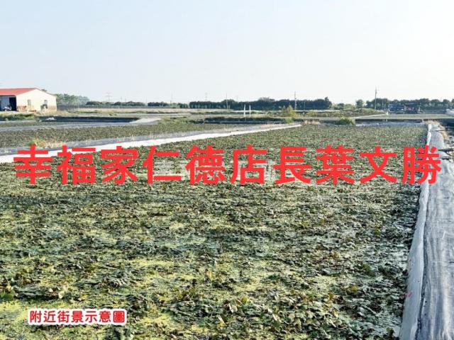 台南官田農地-6