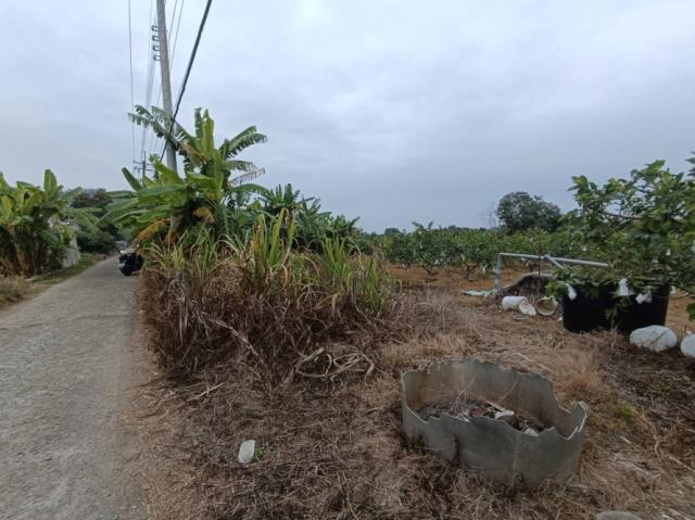 台南玉井農地-3