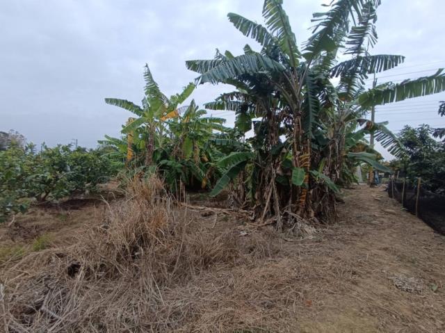 台南玉井農地-6