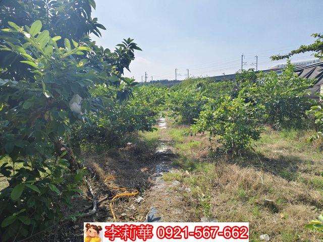 高雄岡山農地-7