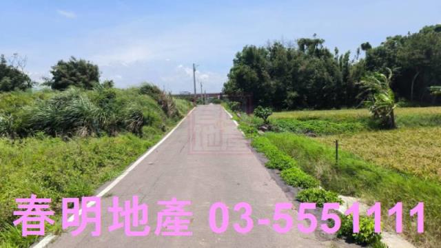 桃園新屋農地-3