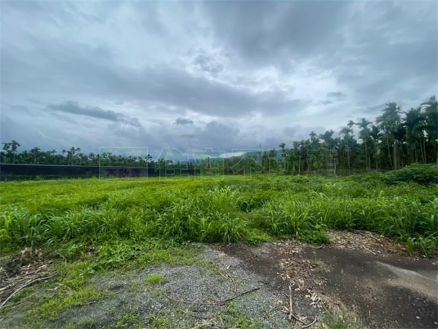 屏東內埔農地-5