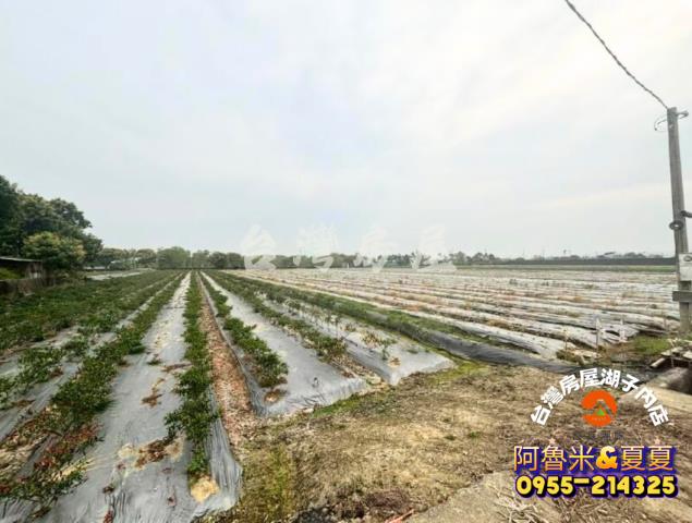 台南白河農地-6