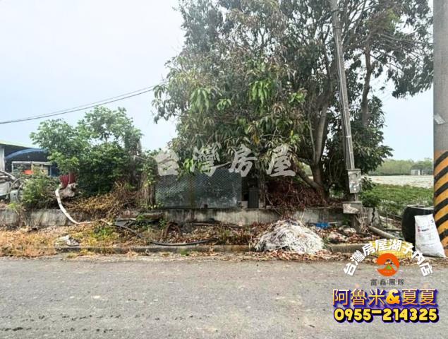 台南白河農地-7