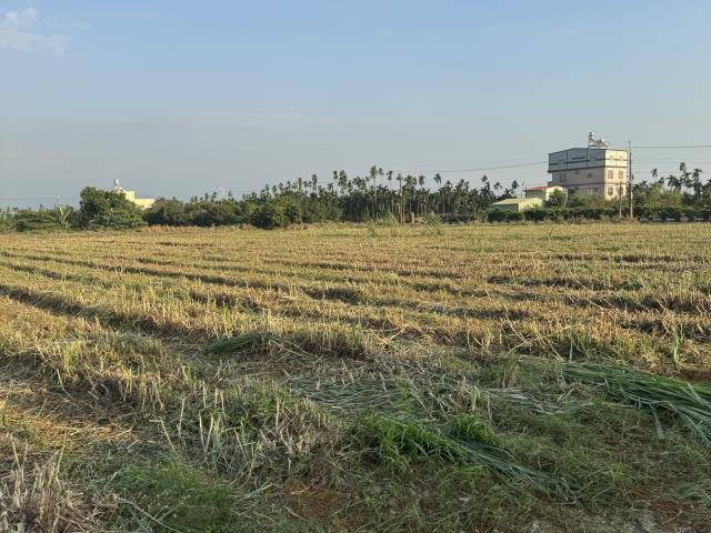 屏東萬丹農地-6