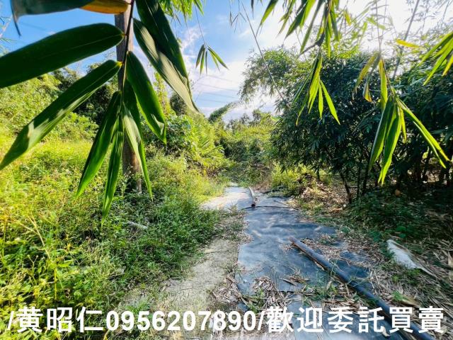 台南農地-4