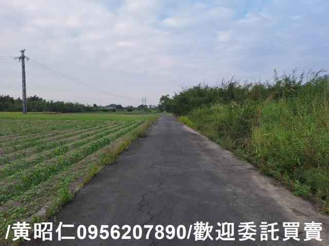台南農地-6