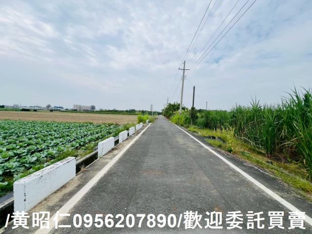 台南善化農地-2