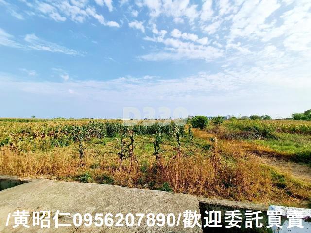 台南七股農地-1